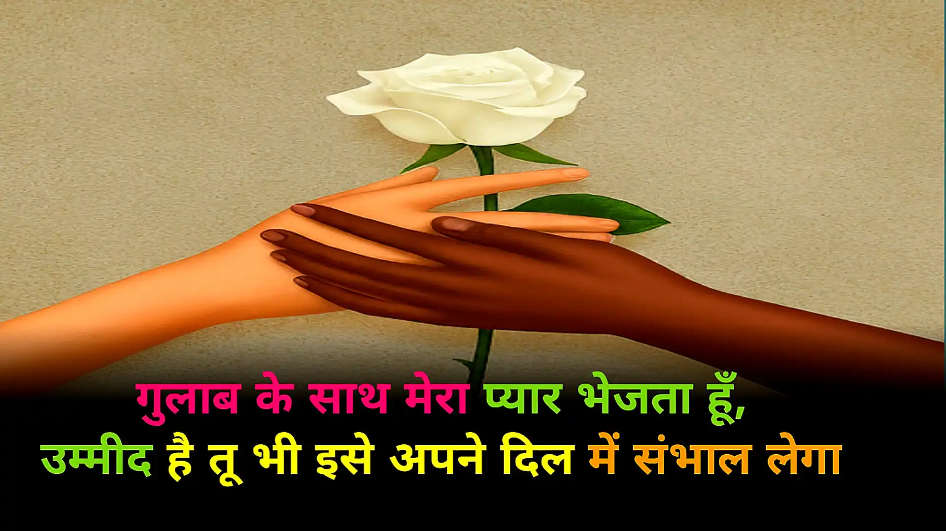 Happy Rose Day 2024